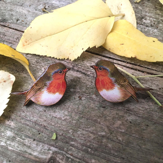 Robin brooch