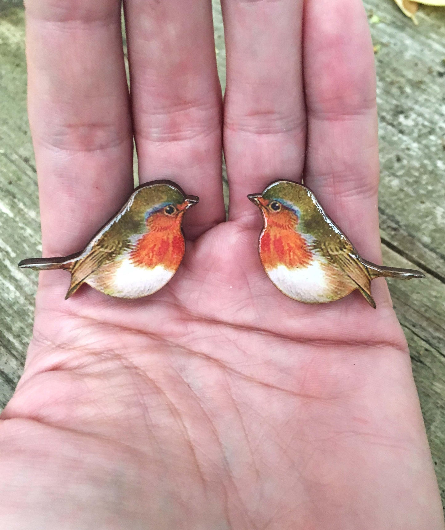 Robin brooch