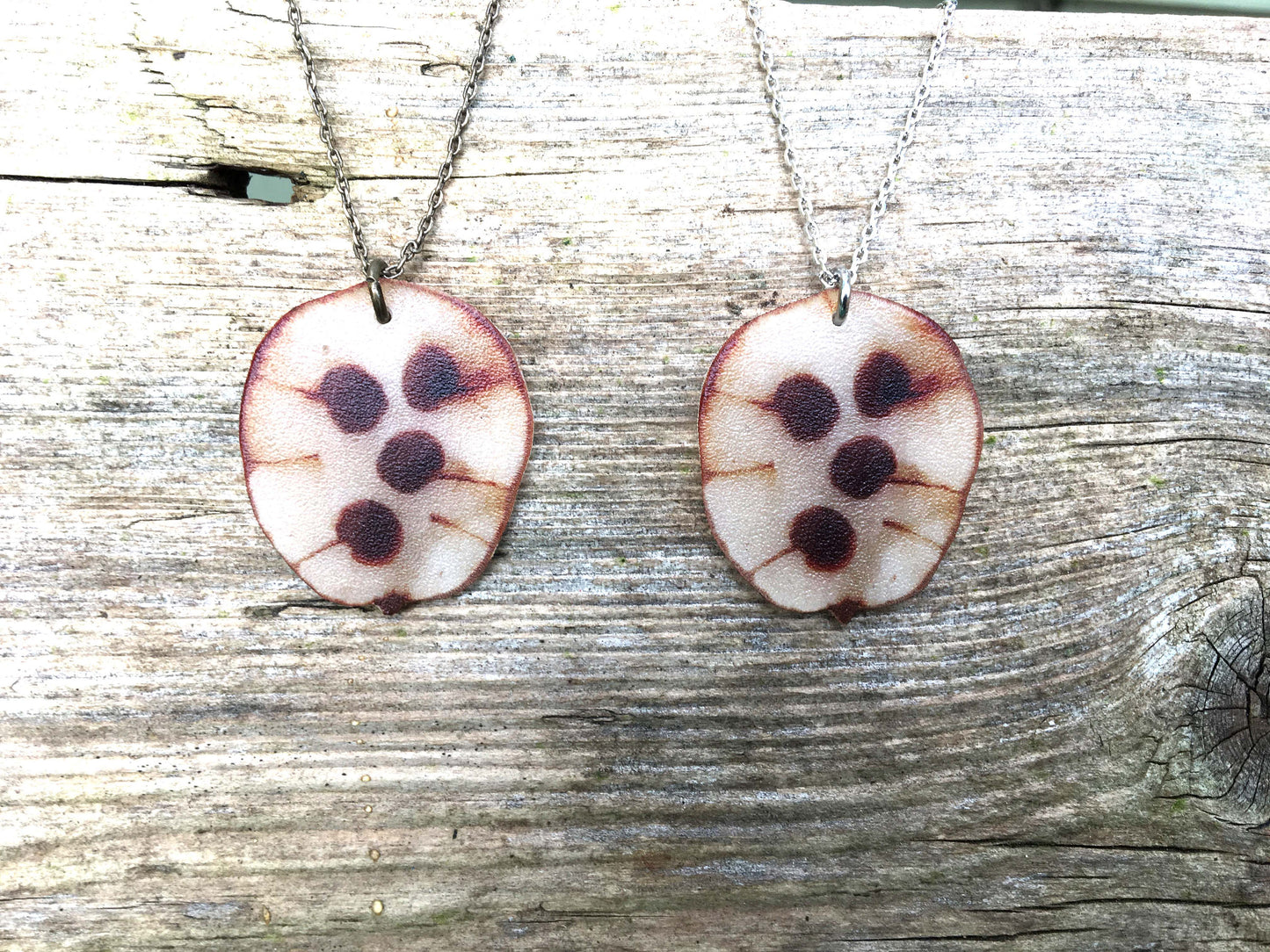 Honesty seed earrings