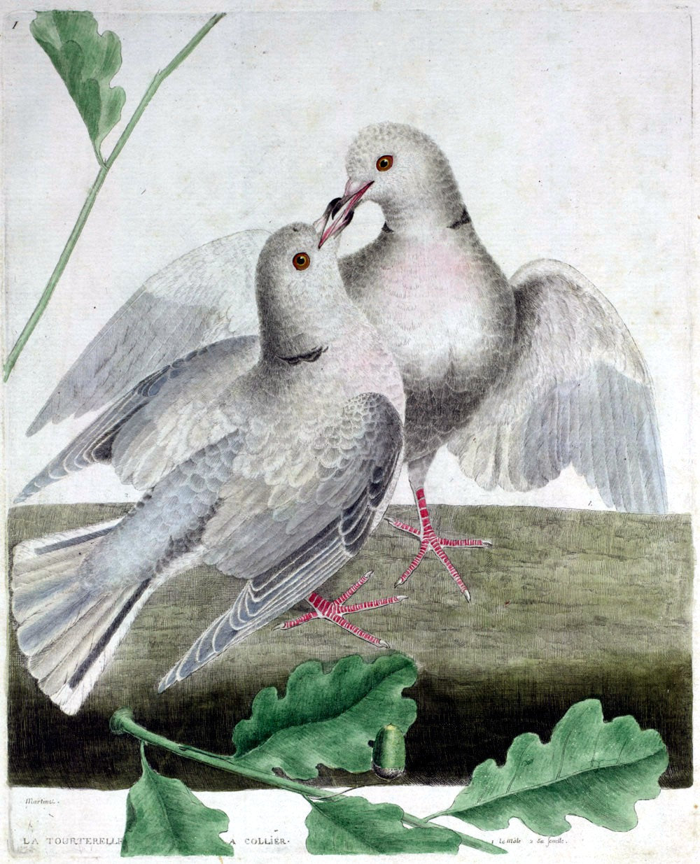 Love dove necklace
