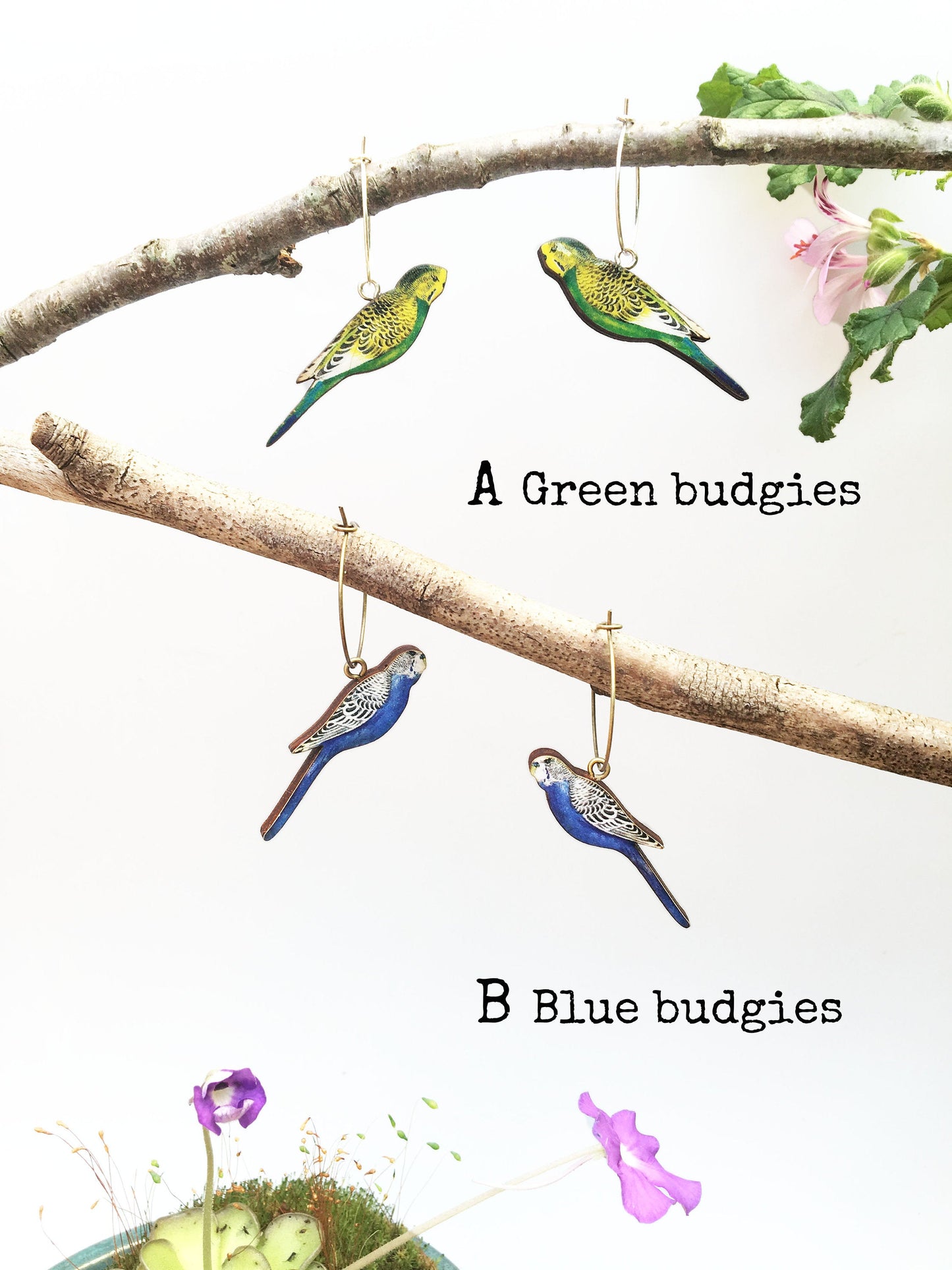 Budgie earrings