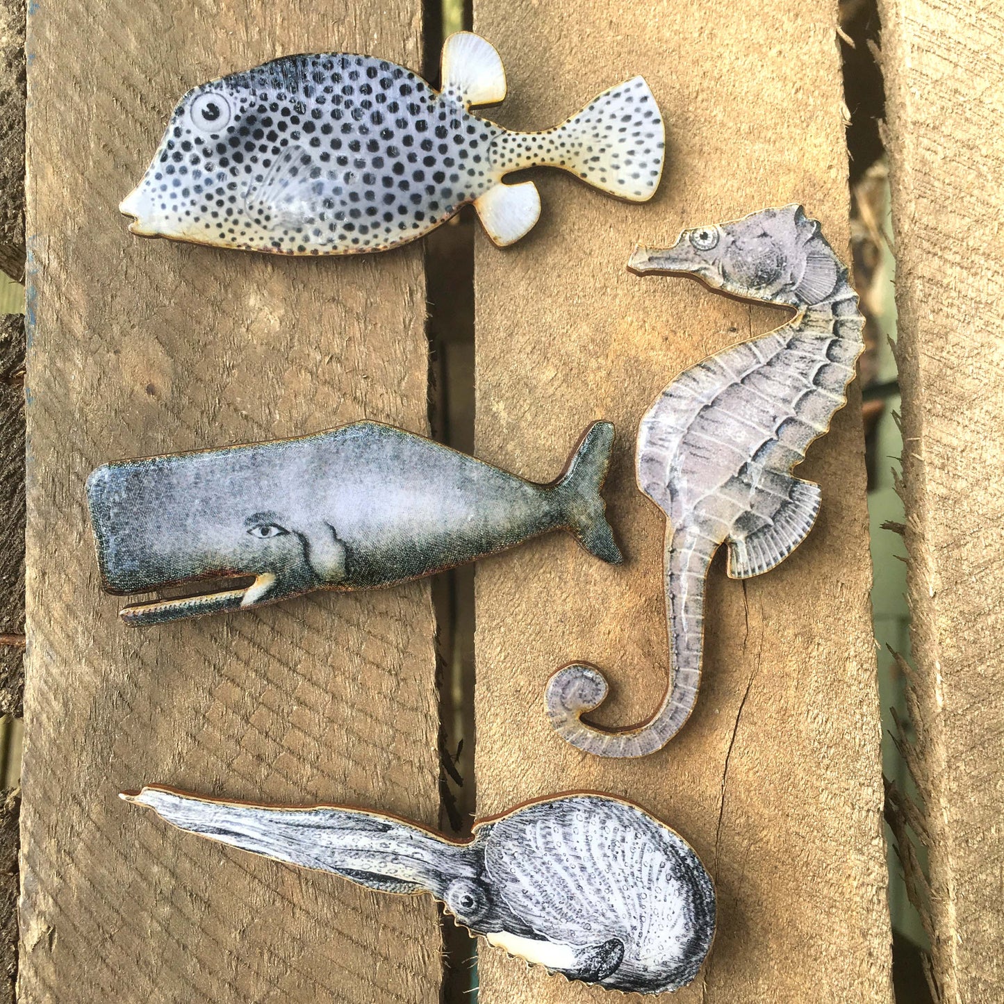 Fish brooch