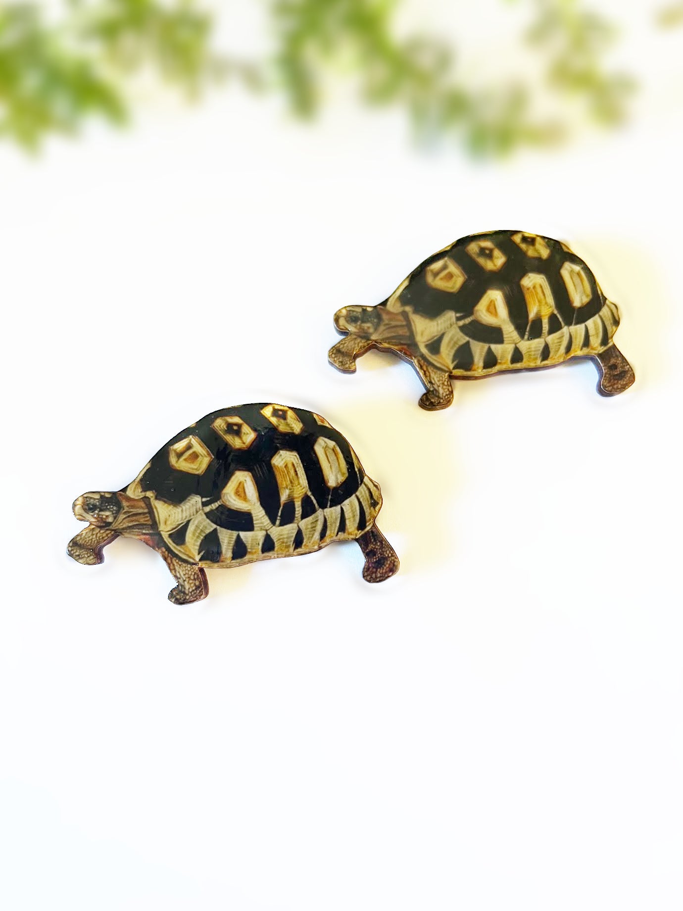 Large tortoise brooch