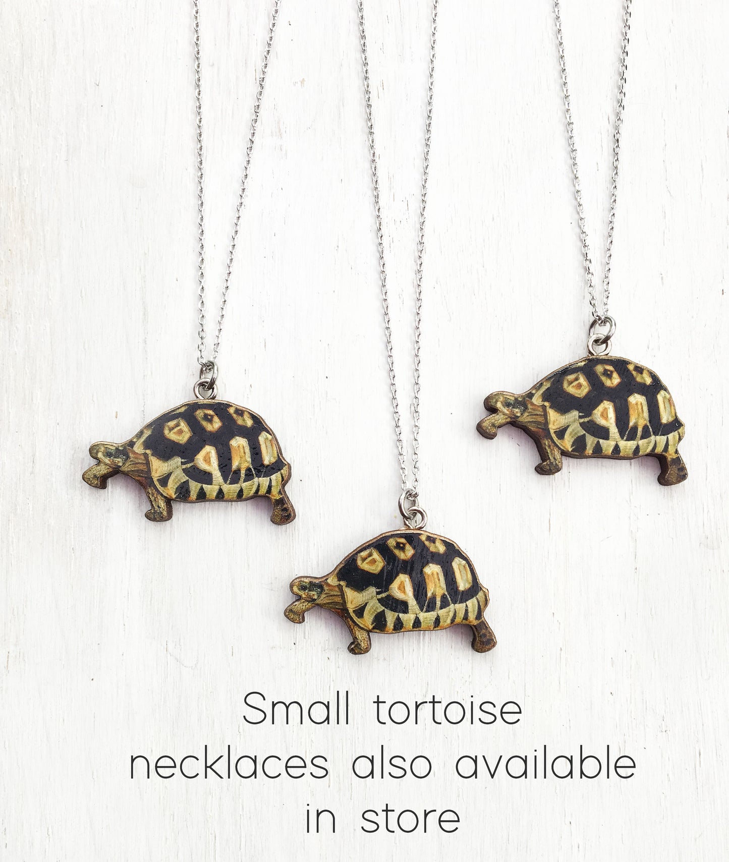 Large tortoise brooch