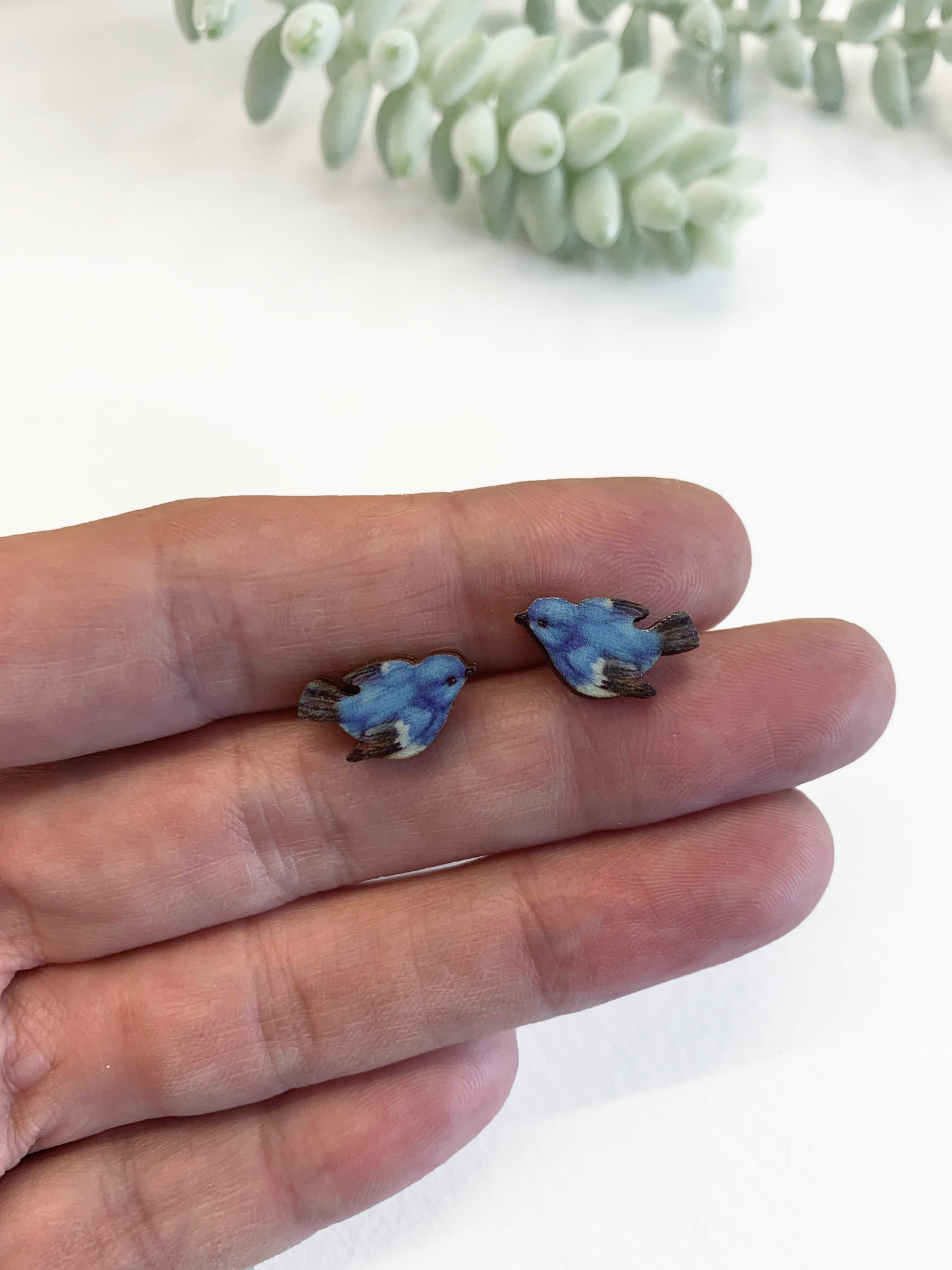 Tiny blue bird studs