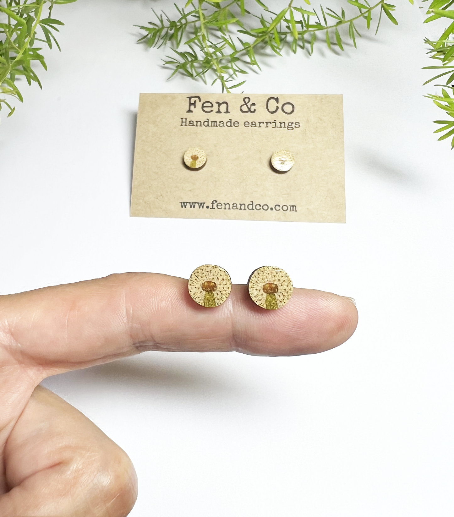 Dandelion studs