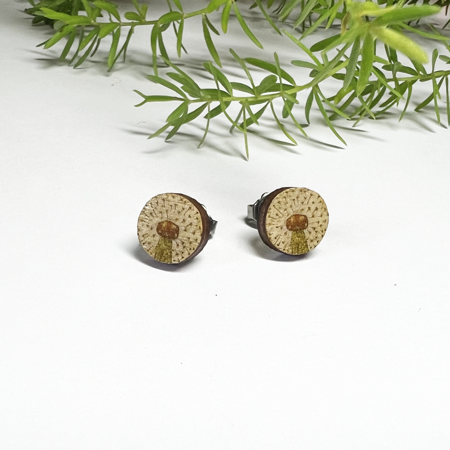 Dandelion studs