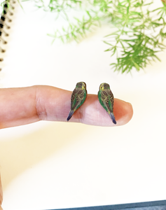 Little budgie stud earrings, blue OR green budgie studs