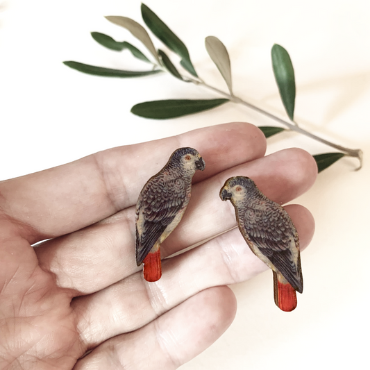 Grey Parrot collar pins - single or pair