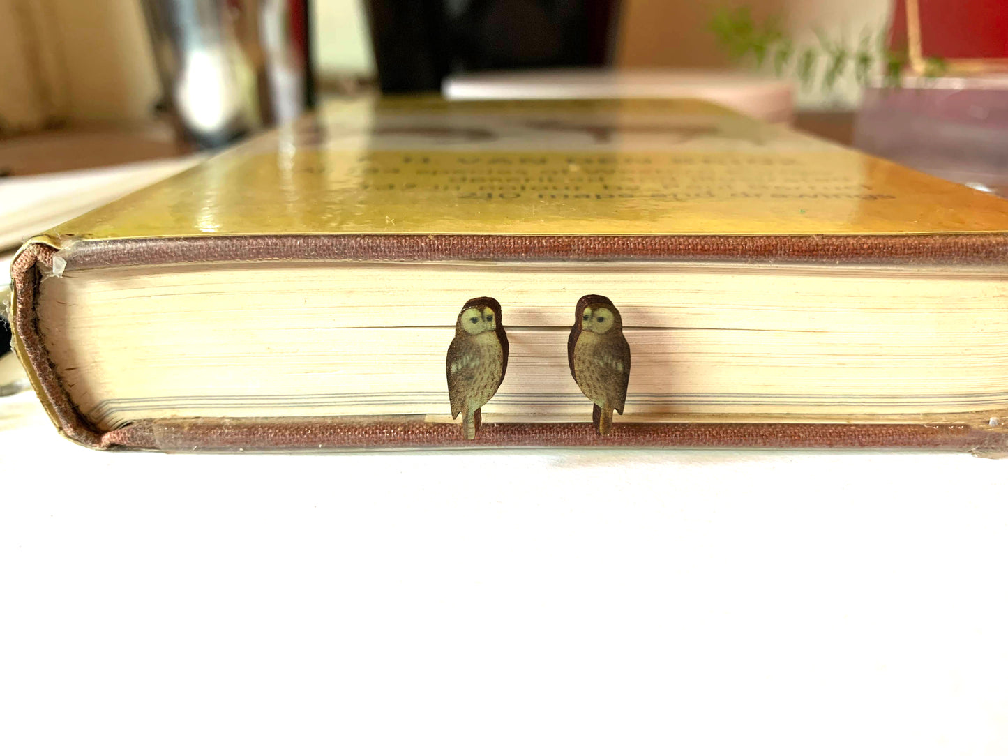 Brown Owl stud earrings