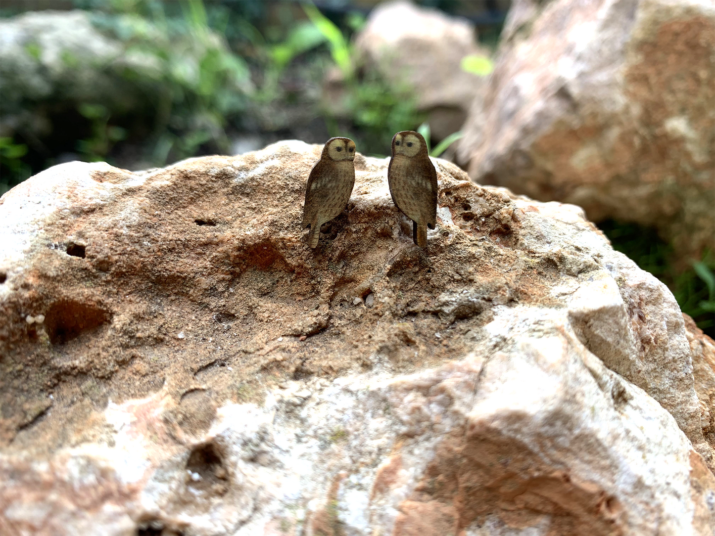 Brown Owl stud earrings