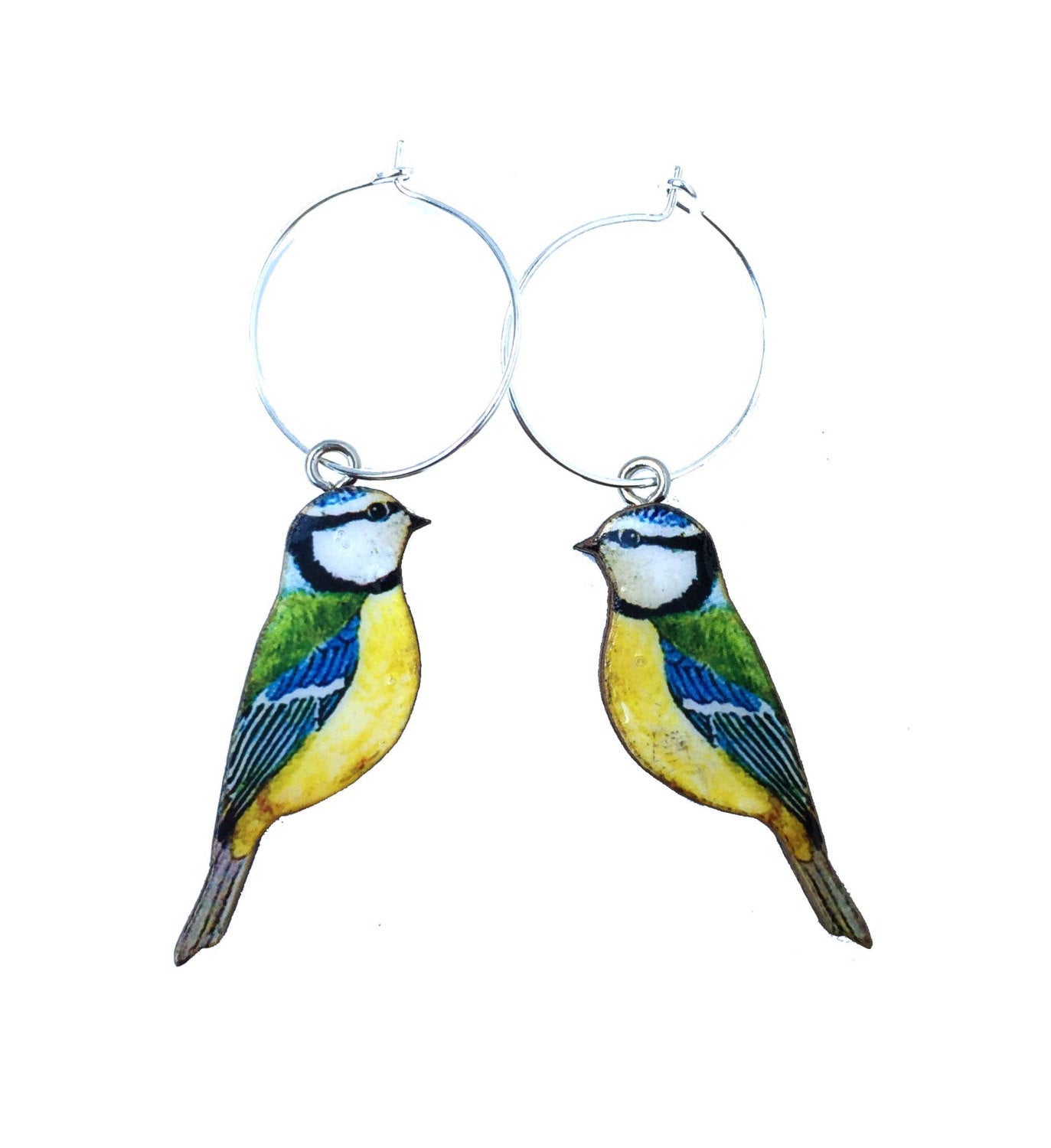 Blue Tit earrings