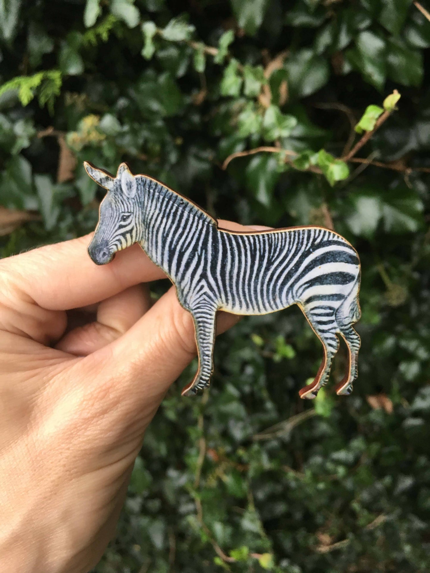 Zebra brooch