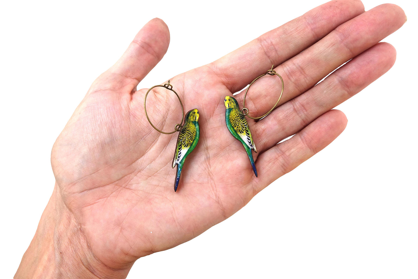 Budgie earrings
