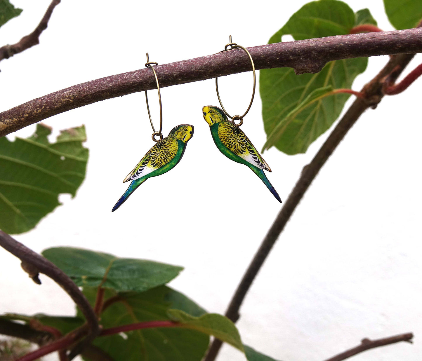 Budgie earrings