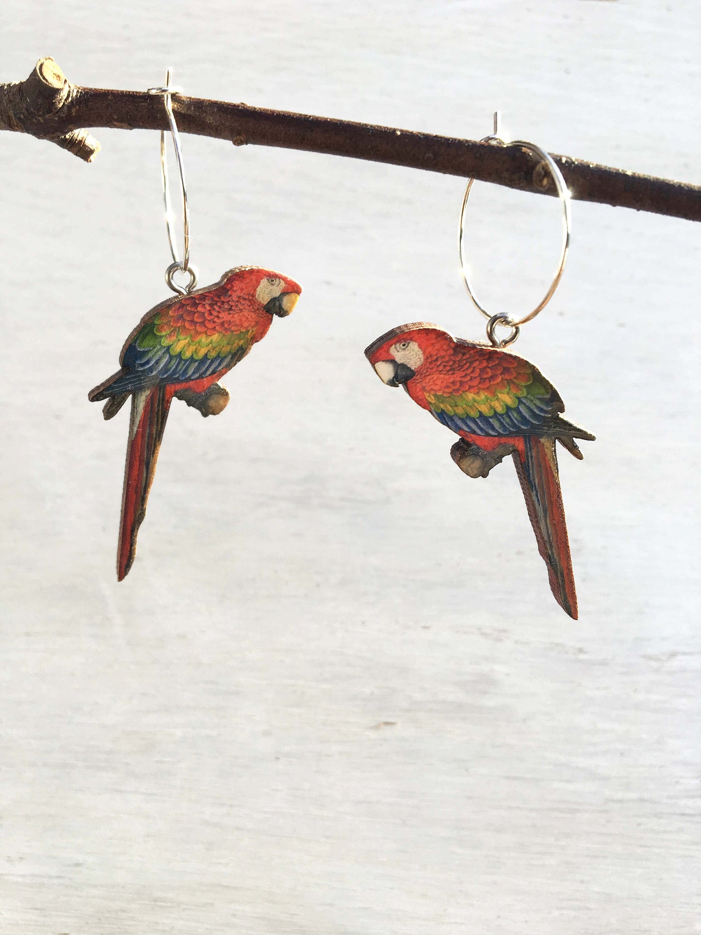 Macaw earrings