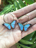 Blue Morpho butterfly earrings