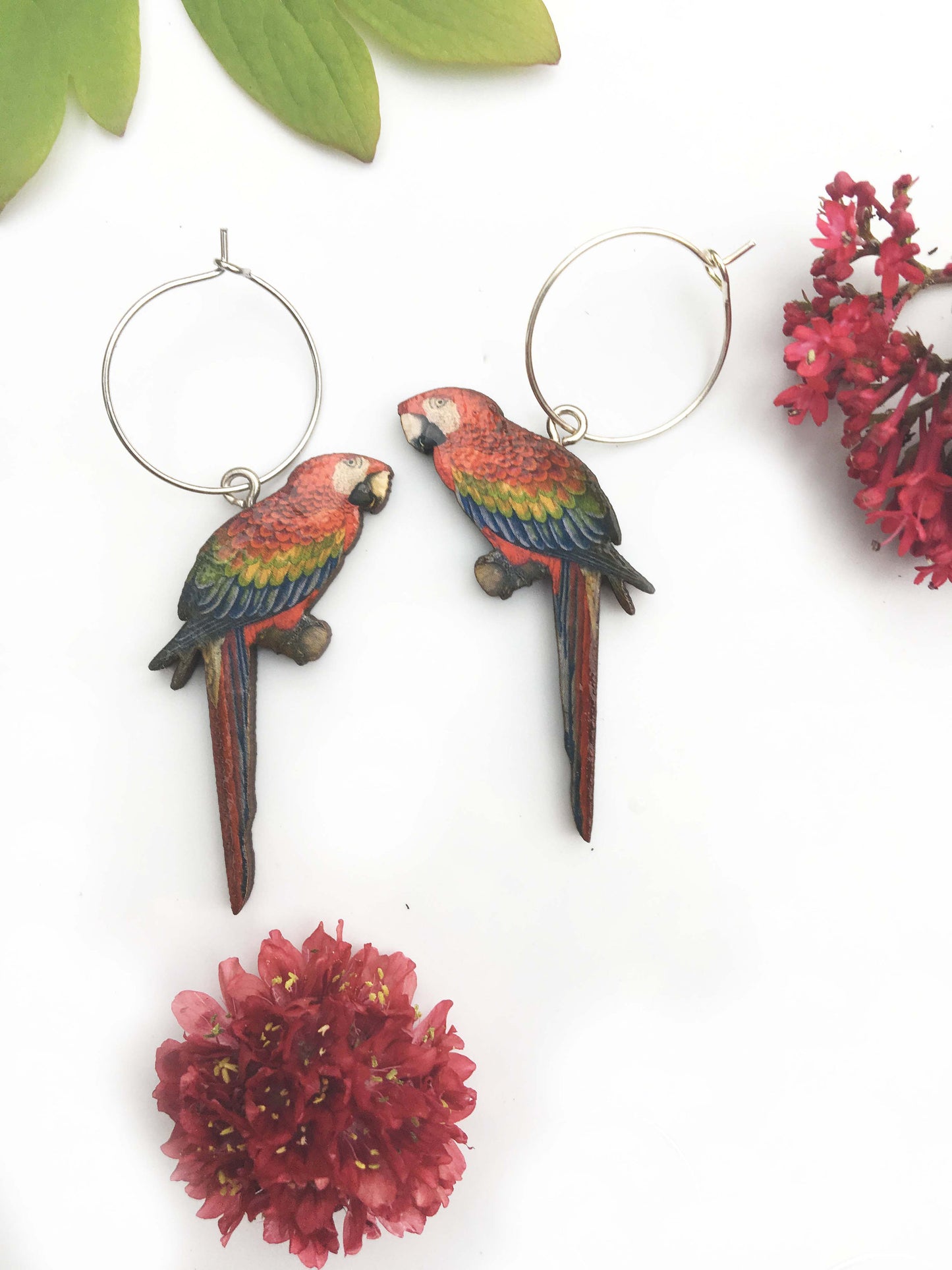 Macaw earrings