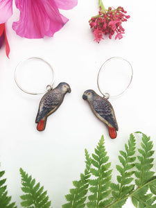 Grey parrot earrings
