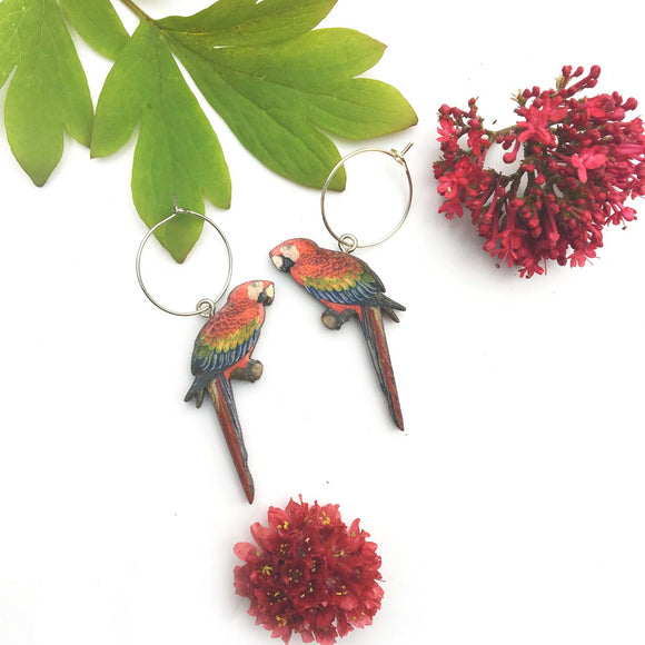 Macaw earrings