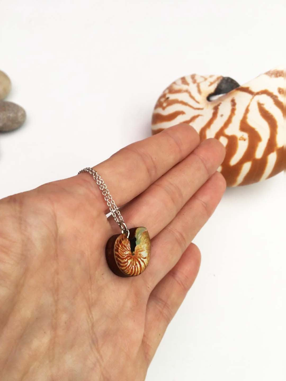 Nautilus necklace and earrings