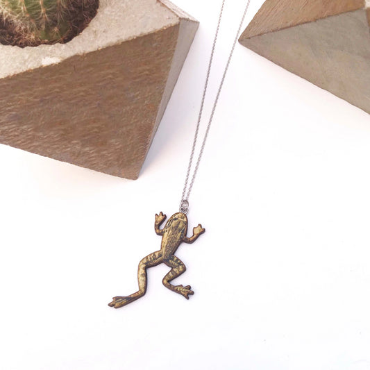 Frog necklace or frog brooch